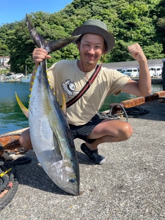 キハダマグロの釣果