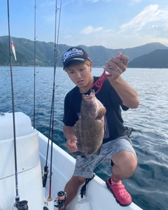 タイの釣果