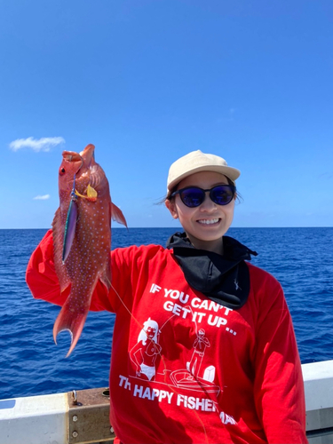 バラハタの釣果