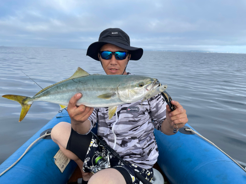 イナダの釣果