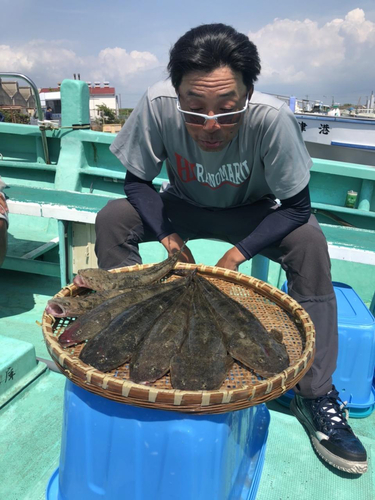 マゴチの釣果