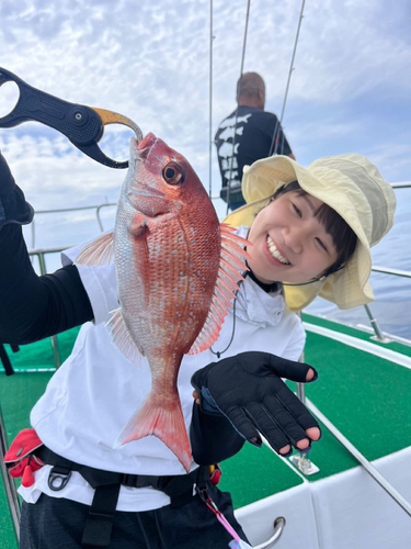 マダイの釣果