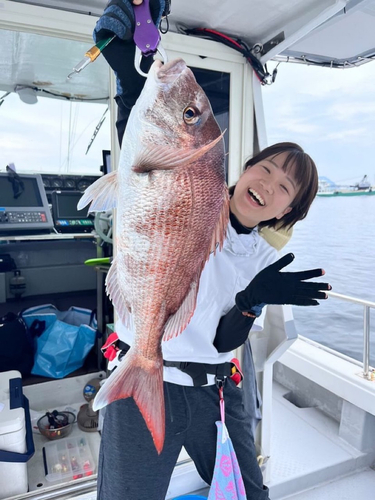 マダイの釣果