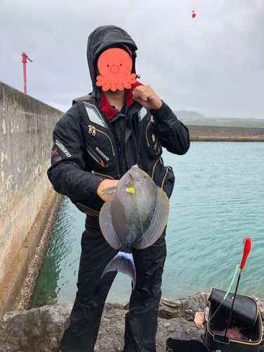 トカジャーの釣果