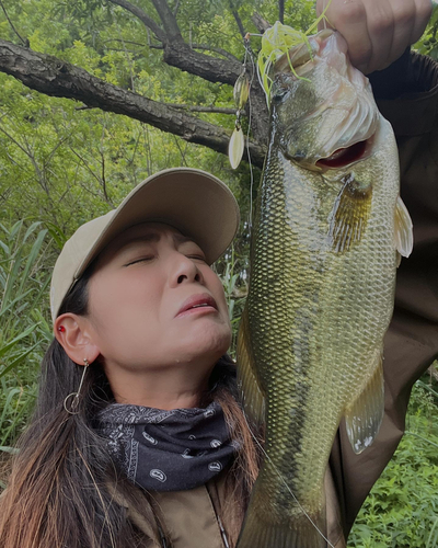 ラージマウスバスの釣果