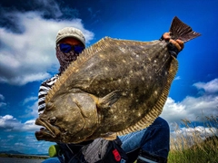 ヒラメの釣果