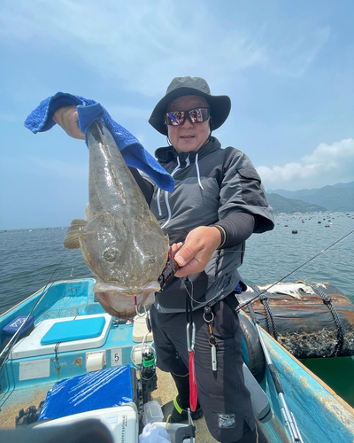 マゴチの釣果