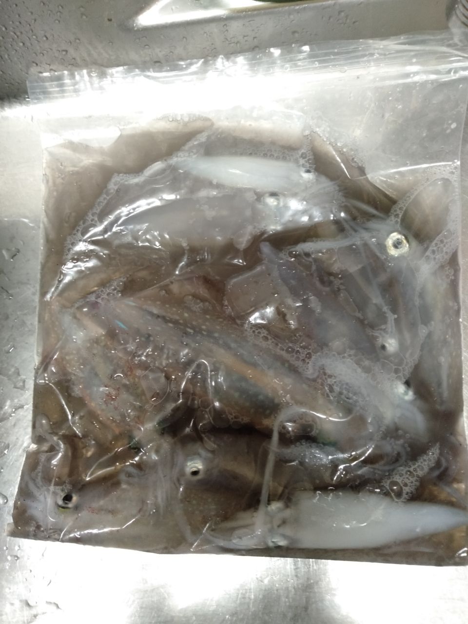 まるみ60cmさんの釣果 2枚目の画像