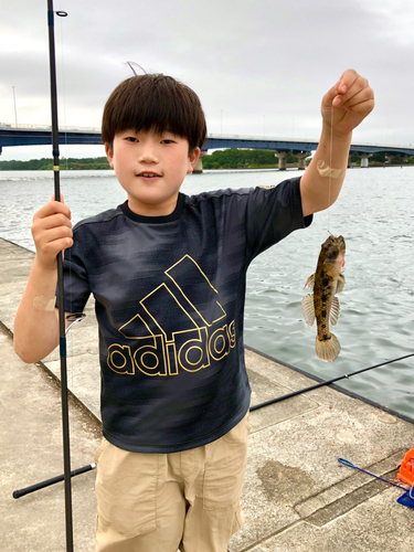 ウロハゼの釣果