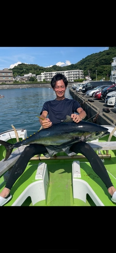 キハダマグロの釣果