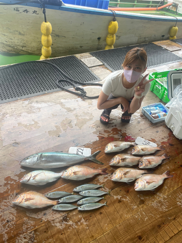 マダイの釣果