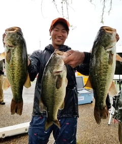 ブラックバスの釣果