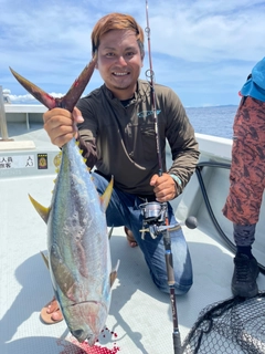 キハダマグロの釣果