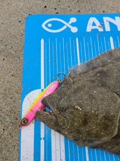 ソゲの釣果