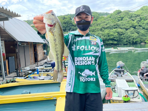 ブラックバスの釣果