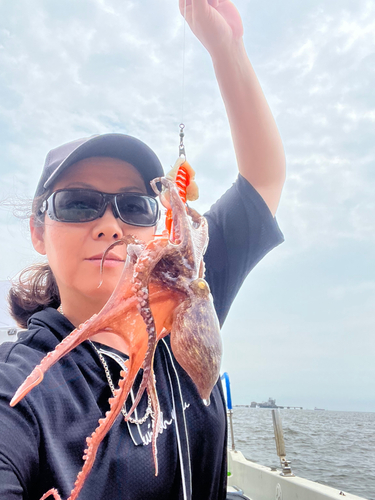 タコの釣果