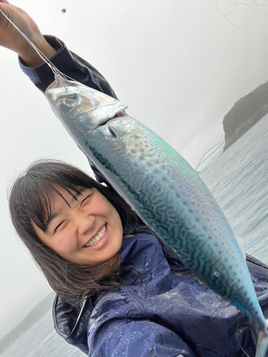 サバの釣果