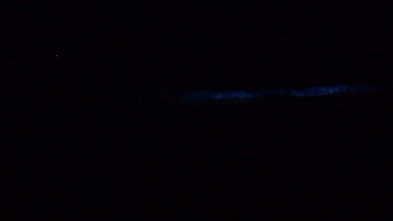 ワカシ