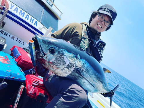 クロマグロの釣果