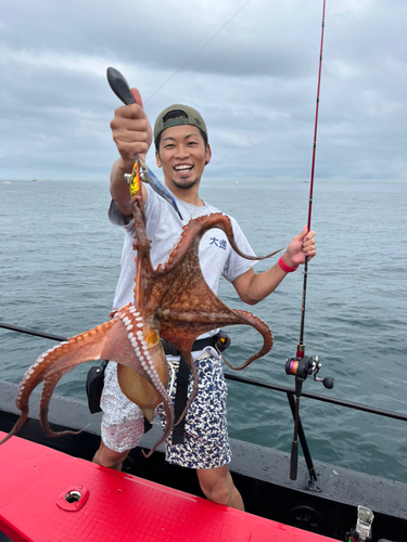 マダコの釣果