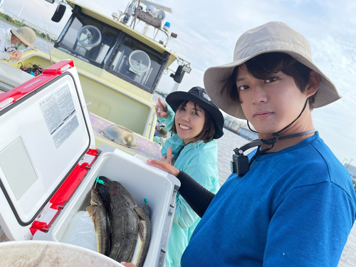 マゴチの釣果