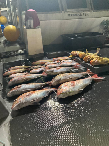 タイの釣果