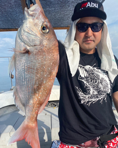 マダイの釣果