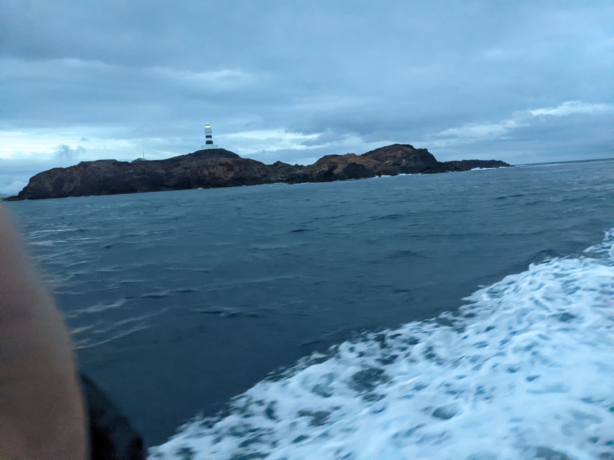 🚚トラ吉 🐟さんの釣果 3枚目の画像