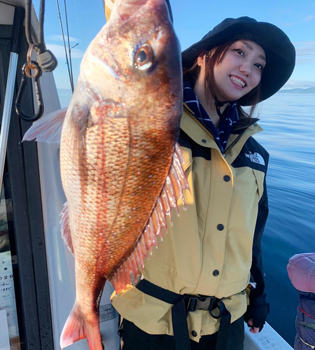 マダイの釣果