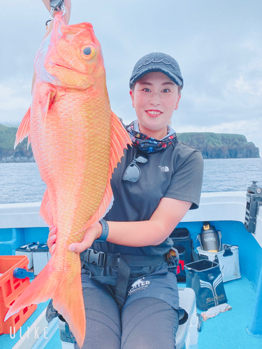 アカムツの釣果