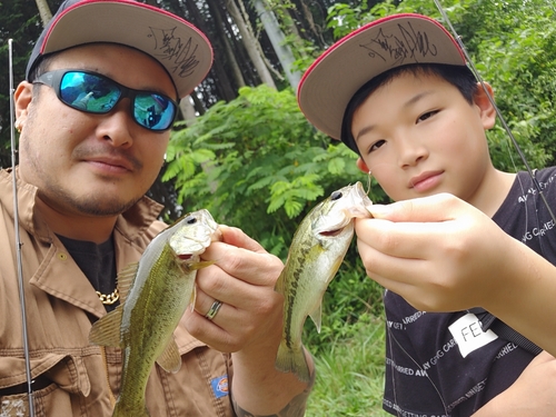 ブラックバスの釣果