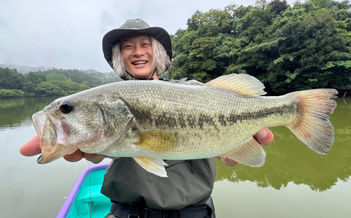 ブラックバスの釣果