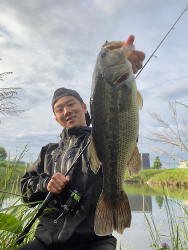 ブラックバスの釣果