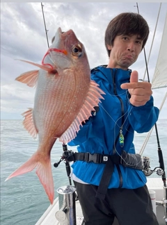 マダイの釣果