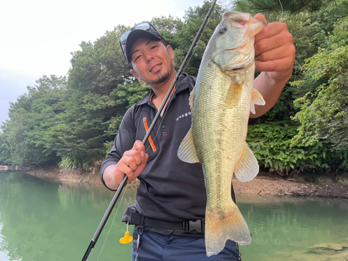 ブラックバスの釣果