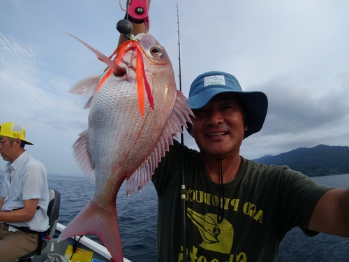 マダイの釣果