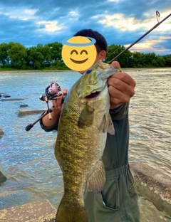 スモールマウスバスの釣果