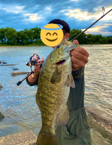 スモールマウスバスの釣果