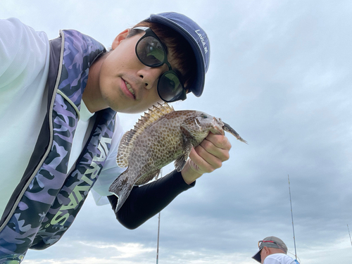 オオモンハタの釣果