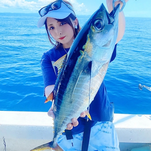 キハダマグロの釣果