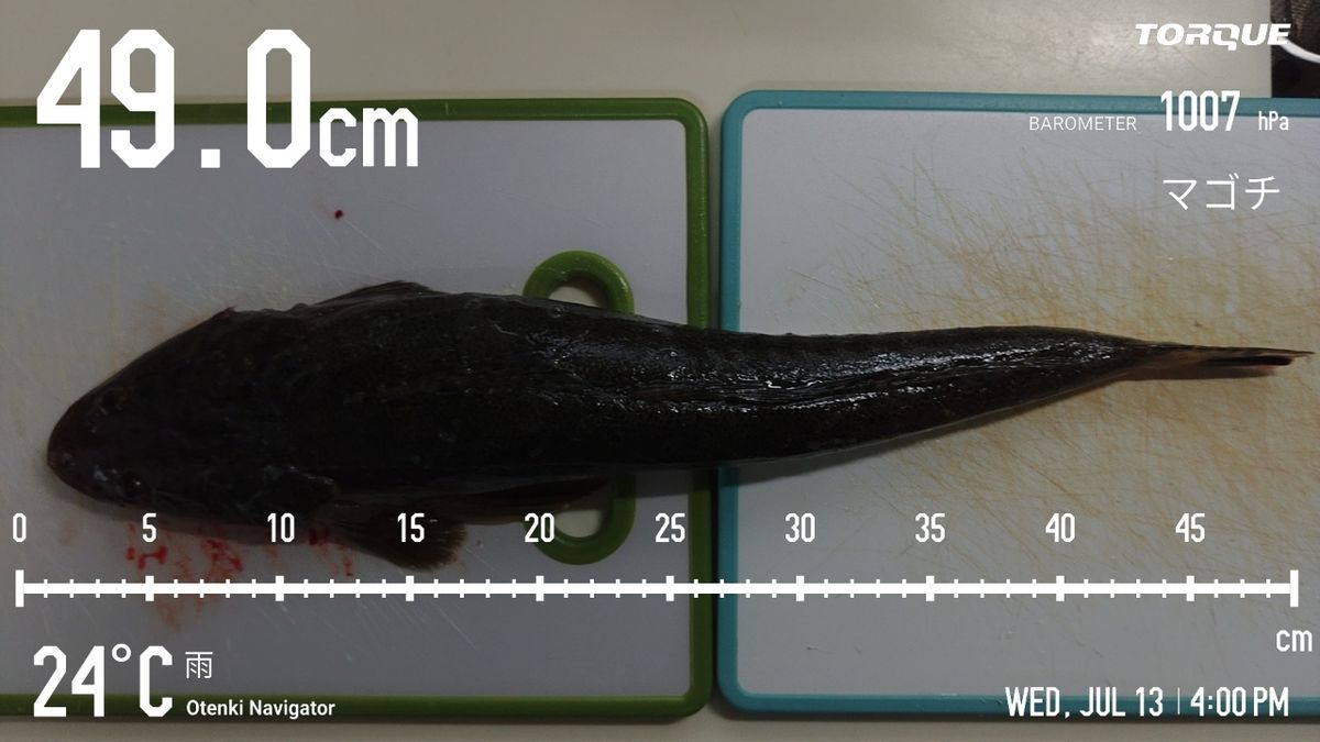 でっけさんの釣果 2枚目の画像