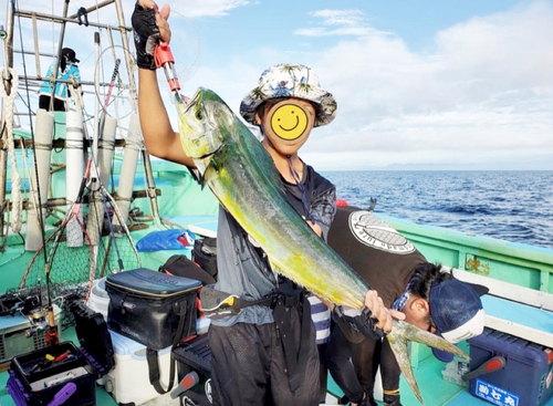 シイラの釣果