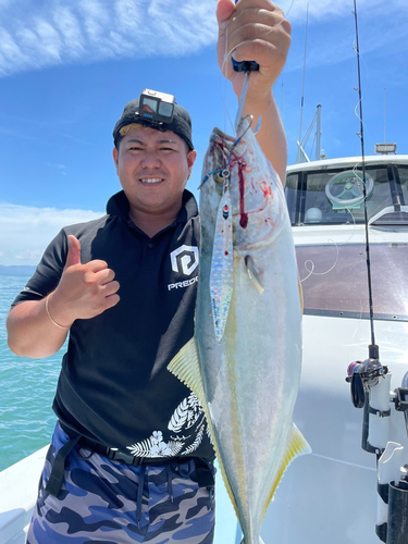 ハマチの釣果