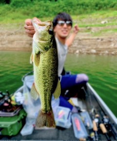 ブラックバスの釣果