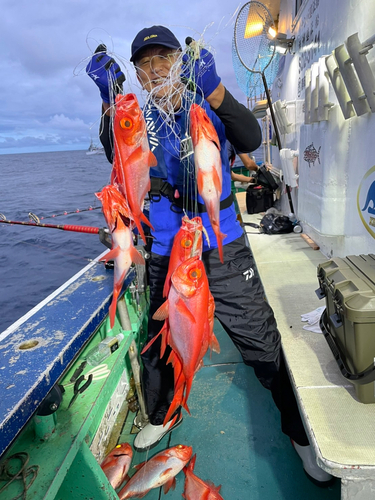 キンメダイの釣果