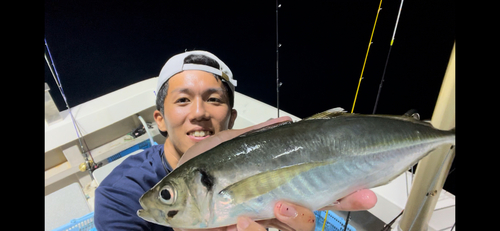 マアジの釣果