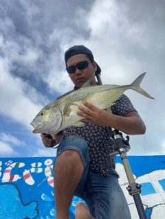 オニヒラアジの釣果