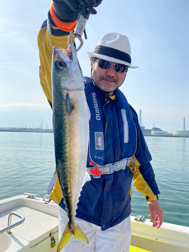 マサバの釣果