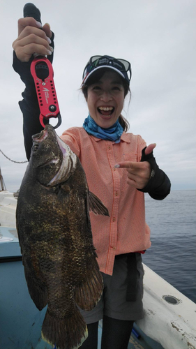 マツダイの釣果