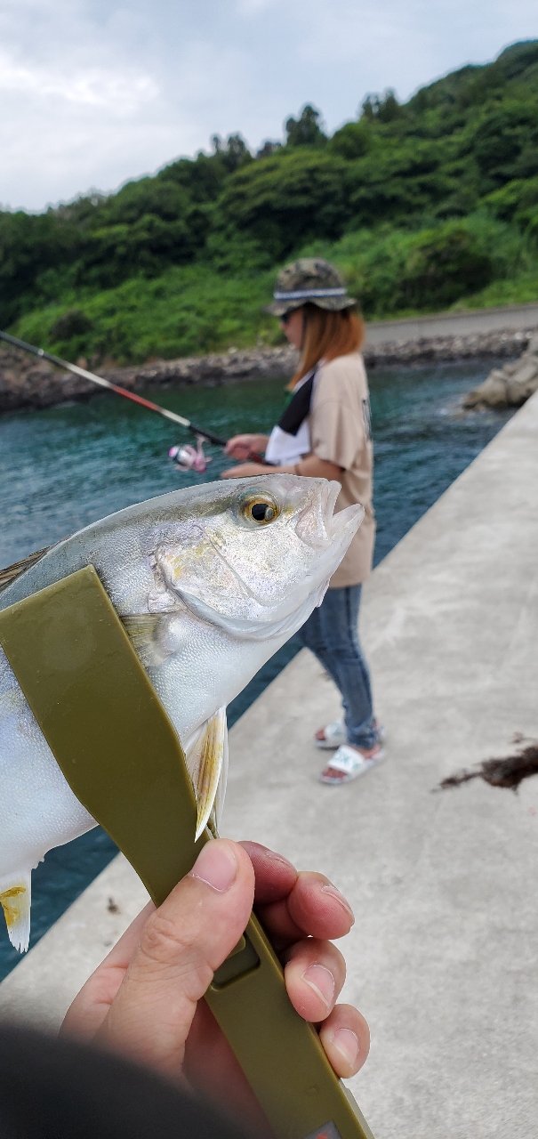 カンパチ